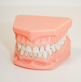 professional dental service